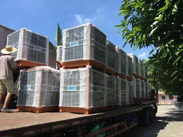 工廠車間快速降溫方法，你知道嗎？