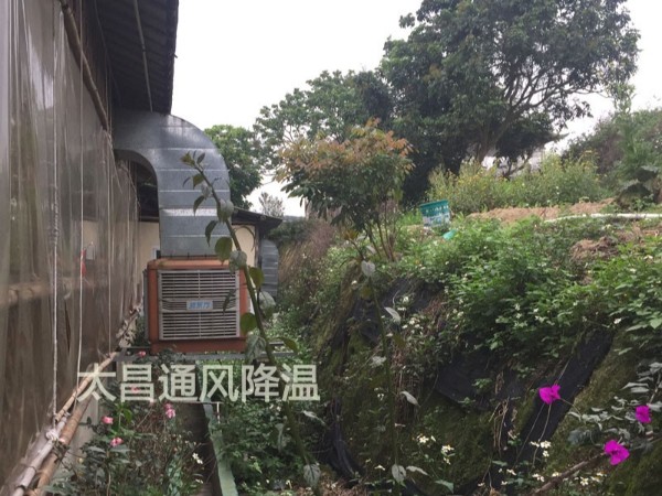 餐廳太熱？環(huán)保空調(diào)為你送清風